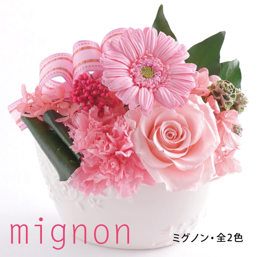 プリザーブドフラワー 誕生日 ギフト 花 プレゼント フラワー ギフト ミグノン バラ ガーベラ 6月 誕生花 母の日 結婚 新築 お見舞い ケース入り あすつく Mig プリザーブドフラワーベルフルール 通販 Yahoo ショッピング