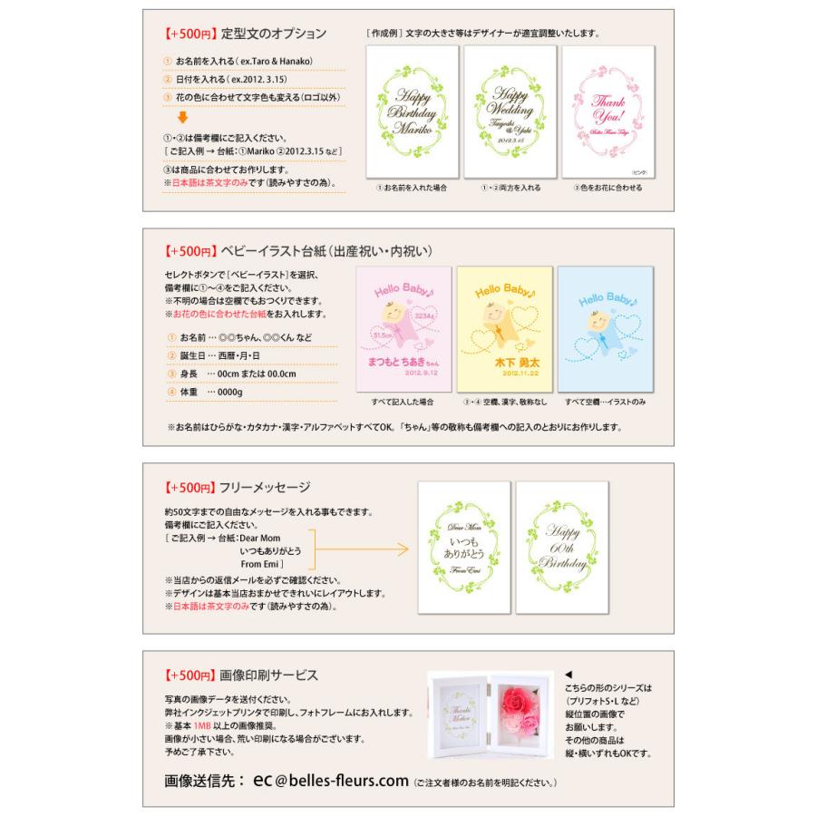 誕生日 21 花 プレゼント プリザーブドフラワー プルメリア入りプリフォトフレームl 出荷 3営業日 送料無料 開業祝い 内祝い 両親贈呈 花ギフト Plpf プリザーブドフラワーベルフルール 通販 Yahoo ショッピング