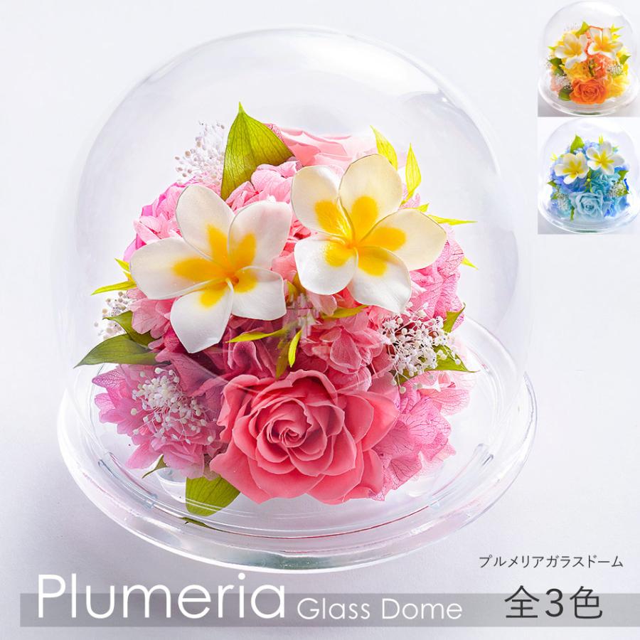 プリザーブドフラワー #プルメリアガラスドーム〈L〉 ガラスドーム