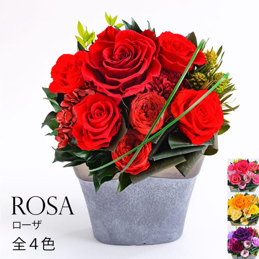 クリスマス プリザーブドフラワー #ローザ （立て札OK） 開業祝い 花