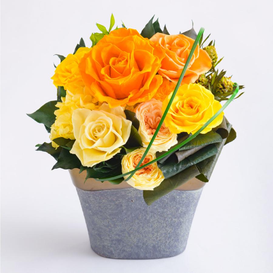 クリスマス プリザーブドフラワー #ローザ （立て札OK） 開業