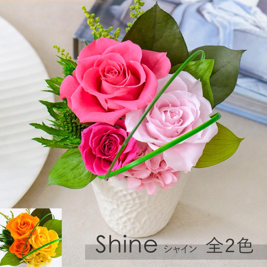 クリスマス プリザーブドフラワー #シャイン バラ アレンジ 立て札