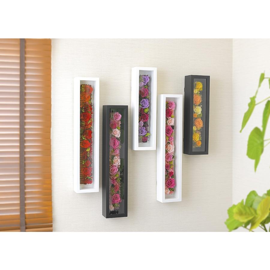 KERA還暦記念ライブBOX DVD CDセット 3DVD+3CD】KERA還暦記念ライブBOX