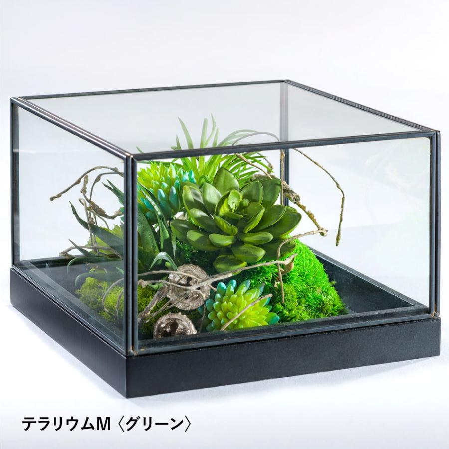 プリザーブドフラワー 誕生日 花 プレゼント ギフト テラリウムm ローズ グリーン 苔 バラ ガラス ボックス 結婚 ボックス入り あすつく Term プリザーブドフラワーベルフルール 通販 Yahoo ショッピング