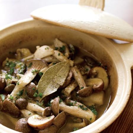 長谷園 キャセロールマイン ミニ土鍋 2点セット キャセロールマイン - 伊賀焼窯元 長谷園 公式通販