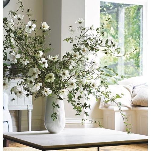 ウェッジウッド ホワイト フォリア ベース 30cm : ベルセーブ - 通販