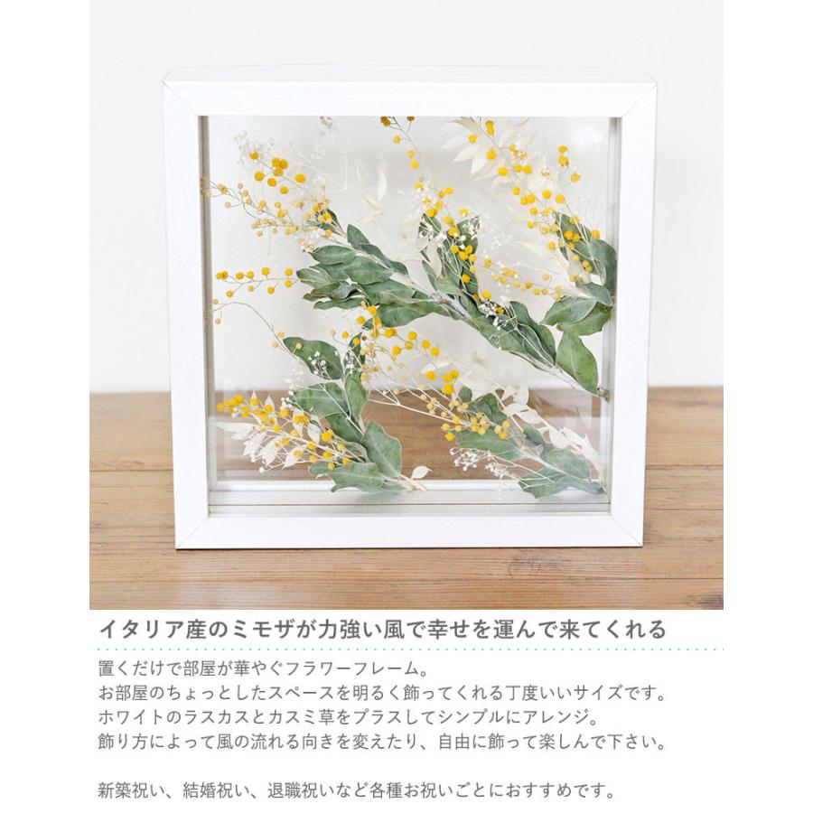 Belle Vie ドライフラワー フラワーフレーム ヴァンベール「Mimosa 