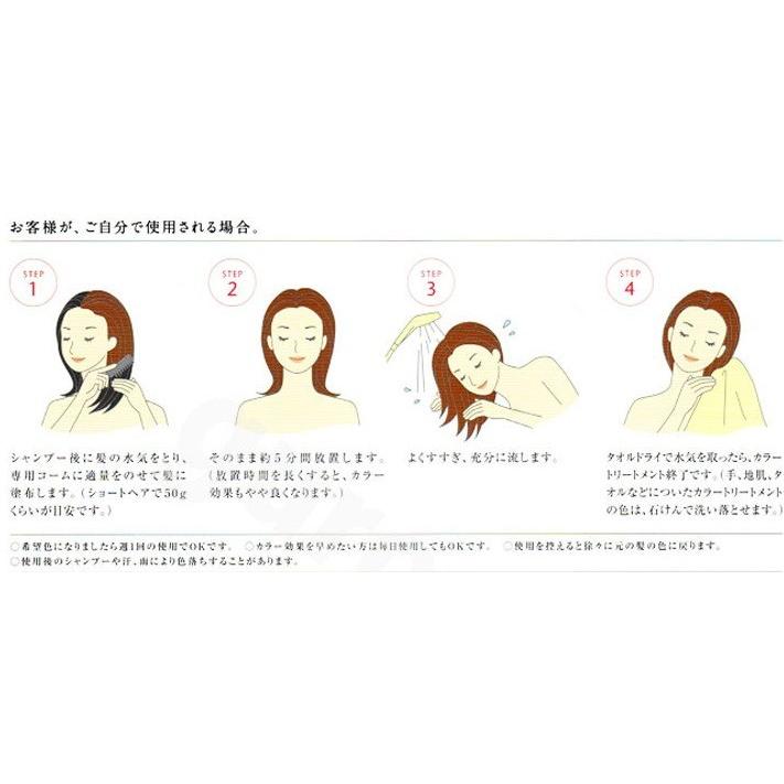 ホーユー hoyu アシュレーカラートリートメント 230g ブラシ付 全7色 |  | 02