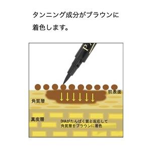 PAMリキッドアイブロー　Platinum Line（プラチナライン）洗顔しても描いた眉が消えない　ペンで描くプチアートメイク　4山形状　送料無料メール便 |  | 03