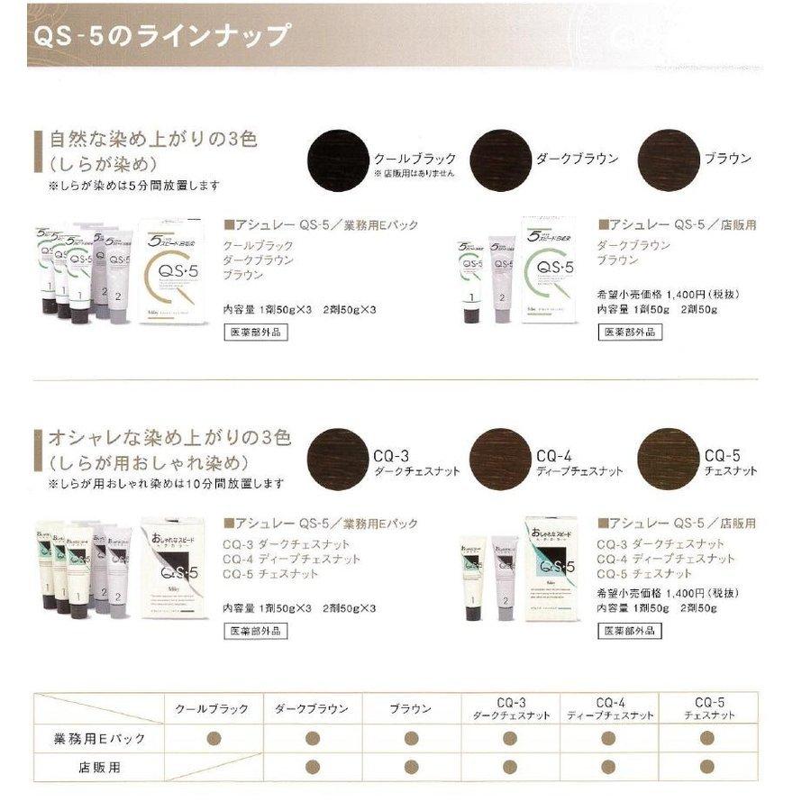 カラーリング・白髪染め qs5 ホーユー アシュレーQS-5 E おしゃれなスピードヘアカラー 業務