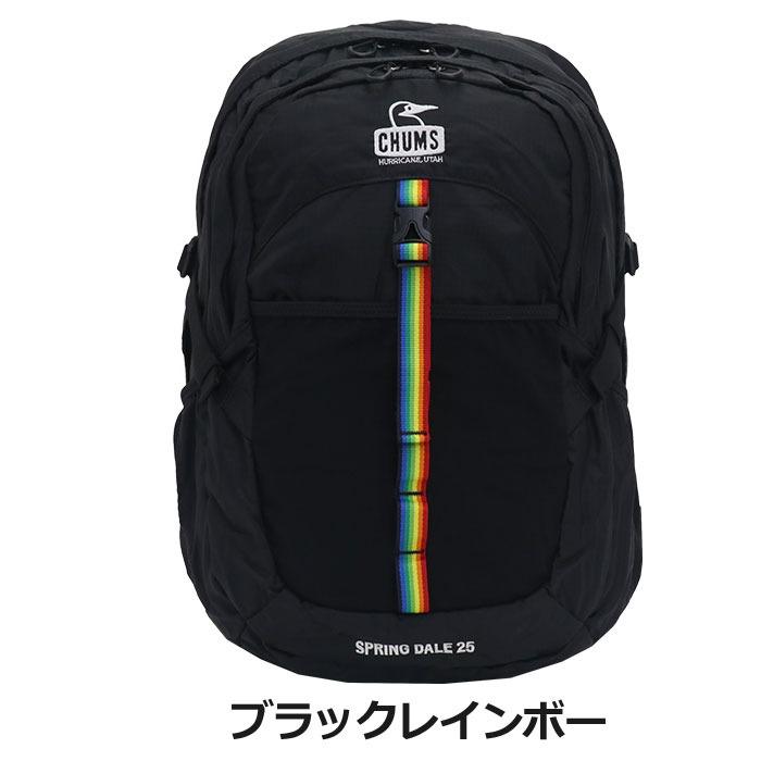 美品　チャムス スプリングデール25 バッグパック　黒 CHUMS（チャムス） 正規販売店 メンズ レディース リュック リュック