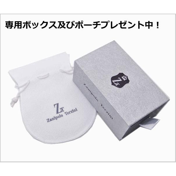 Zanipolo Terzini Terzini（ザニポロ・タルツィーニ）サージカル
