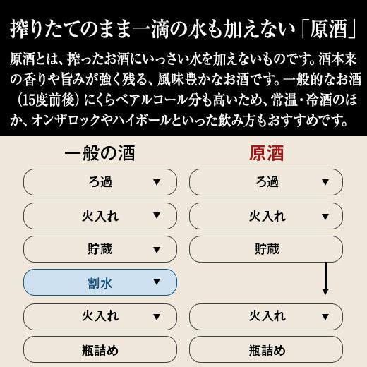 日本酒 大吟醸酒 大吟醸原酒 越乃六蔵 飲み比べセット 2022 一升瓶 6本組 1800ml 50%オフ 送料無料|bellunafoods|05