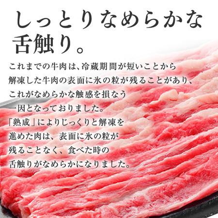 吉野家 牛丼の具 20袋 1食あたり 約431円 食品 冷凍食品 おかず 惣菜 【7560円(税込)以上で送料無料】｜bellunafoods｜05