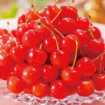 さくらんぼ フルーツ 果物 21年 ギフト お中元 御中元 お中元ギフト 送料無料 人気 さくらんぼ職人の佐藤錦 1 2kg 6月下旬より順次発送 ベルーナグルメpaypayモール店 通販 Paypayモール