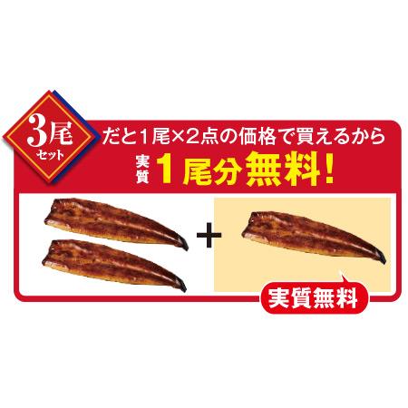 早割 丑の日 うなぎ 蒲焼き 長蒲焼 国産 鹿児島県産 こだわり うなぎ蒲焼 3尾 120ｇ×3尾 2024 丑の日お届け 送料無料 【ギフト対象商品】｜bellunafoods｜03