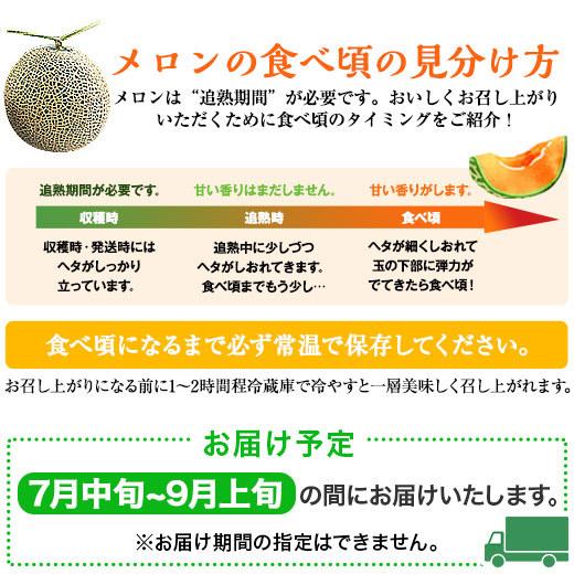 21新入荷 メロン フルーツ 果物 22 ギフト お中元 御中元 お中元ギフト 送料無料 三浦さんのメロン 2玉 3 2kg 7月中旬 9月上旬 お届け6 490円 Aynaelda Com