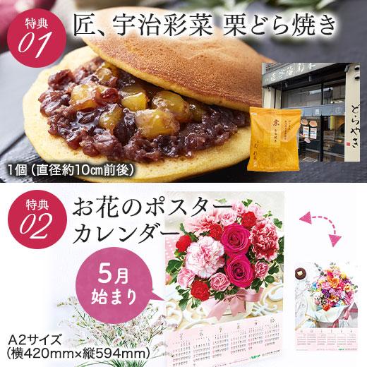 ＼受注延長！／ 母の日 プレゼント 花 2024 贈答 ギフト カーネーション 花鉢 鉢植え スイーツ 洋菓子 5号 スイートジュエル 長崎 カステラ 【ギフト対象商品】｜bellunafoods｜04