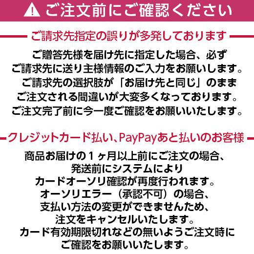 ＼受注延長！／ 母の日 プレゼント 花 2024 贈答 ギフト カーネーション 花鉢 鉢植え 5号 フロランタン 【ギフト対象商品】｜bellunafoods｜15