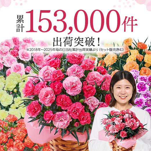 BELLUNA ＼700円オフ！／ 遅れてごめんね 母の日 プレゼント 花 2026