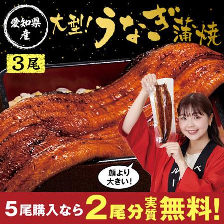 BELLUNA うなぎ 蒲焼き 長焼き 国産 父の日 お中元 御中元 うなぎ