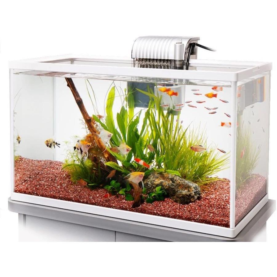 2262円 マーケティング テトラ Tetra 水槽 ホワイトアクアリウム 600