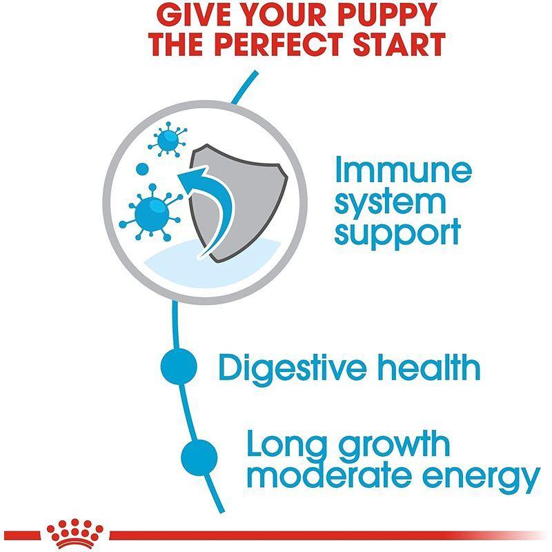 ロイヤルカナン SHN マキシ ジュニア 犬用 10kg ロイヤルカナン SHN マキシ ジュニア 犬用 10kg