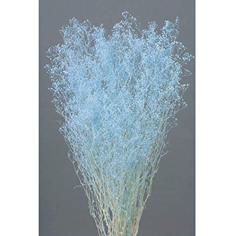オオチノウエン ソフトミニカスミ草 ラベンダー プリザーブドフラワー DO000010-410 カスミ草 長さ 約40.0cm