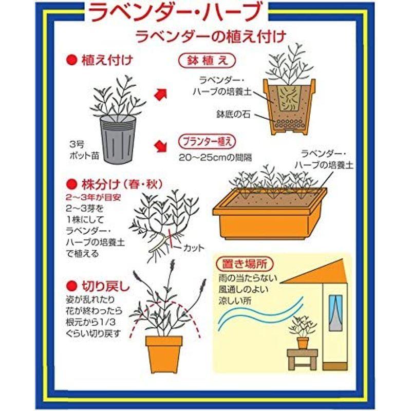大人気 平和 ラベンダー ハーブの培養土 10リットル あかぎ園芸 ハーブの土 14L 4袋 1341412