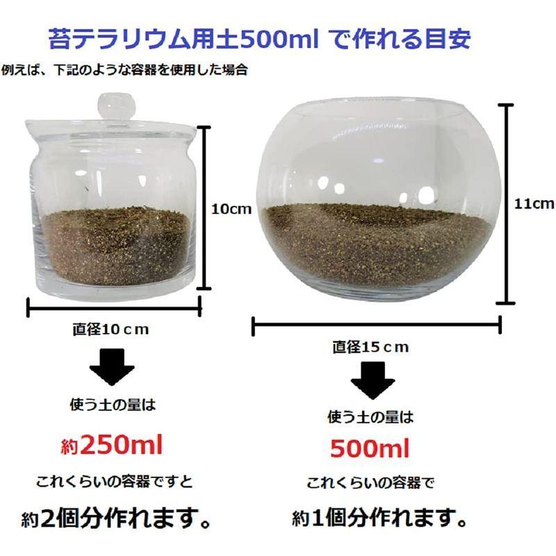 高価値セリー 翔美苑 苔テラリウム 土 石 砂 の セット レイアウト 用 Sサイズ ブラック 黒 溶岩石 Discoversvg Com