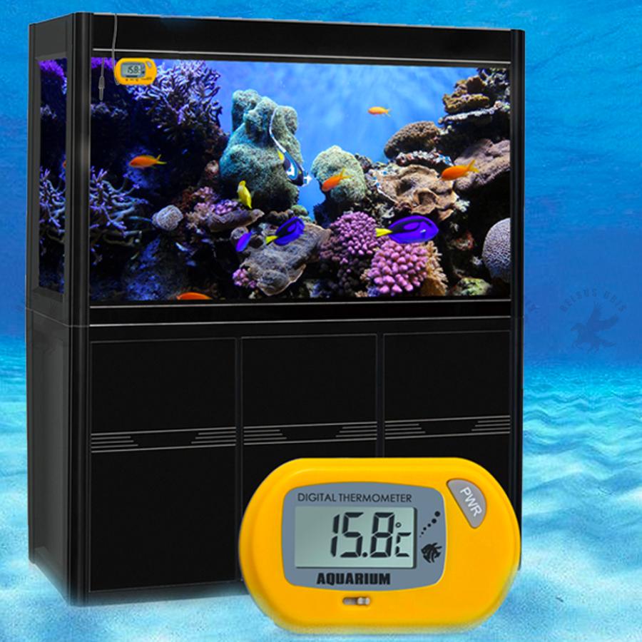 水温計 デジタル 水槽 釣り On Off機能 本体とセンサー用固定吸盤2個付き Lcd 液晶 アクアリウム 水槽 送料無料 Belsus Uris 通販 Yahoo ショッピング