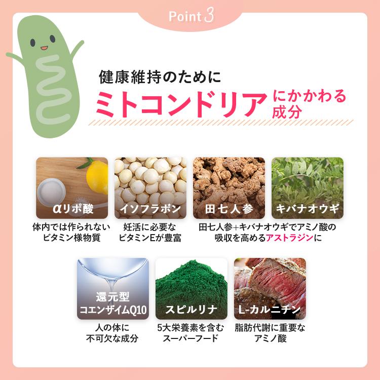 プリメリア様の専用になります　申し訳ございませんその他の方は買えません プルメリアガーデン - 【 ご案内 】 正月商品を含め通常商品も