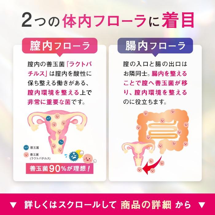 副腎と腸のHigh qualityサプリメント【ラクトファイバーB】 副腎と腸のHigh qualityサプリ【ラクトファイバーB】 【公式通販】