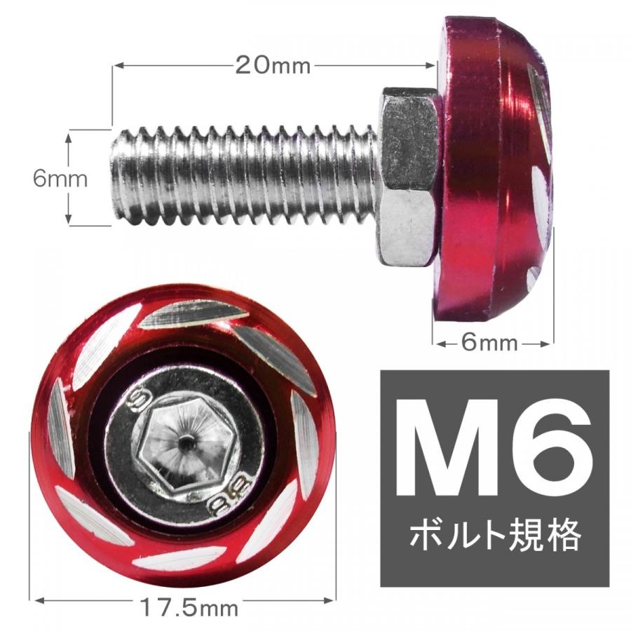 ナンバープレート ボルト M6 カラー ワッシャー 選べる5色 エンジン 