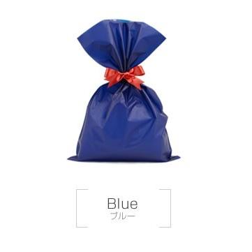 ギフト プレゼント ラッピング 贈り物 簡易ラッピング 誕生日 記念日 お祝い クリスマス | ブランド登録なし | 05