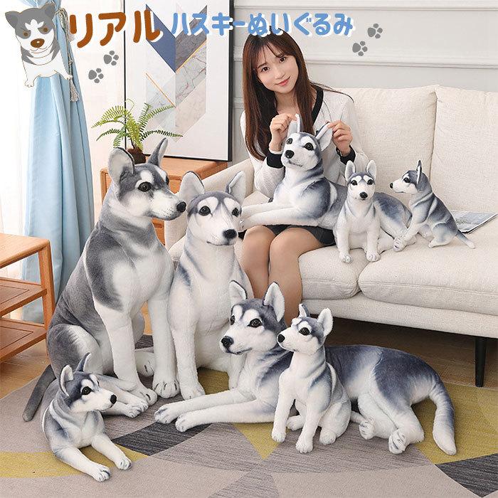 流行 ぬいぐるみ いぬ イヌ 犬 ハスキー リアル 抱き枕 かわいい ふわふわ インテリア お祝い 誕生日プレゼント ぬいぐるみ カラー タイプa Www Cinvestec Com