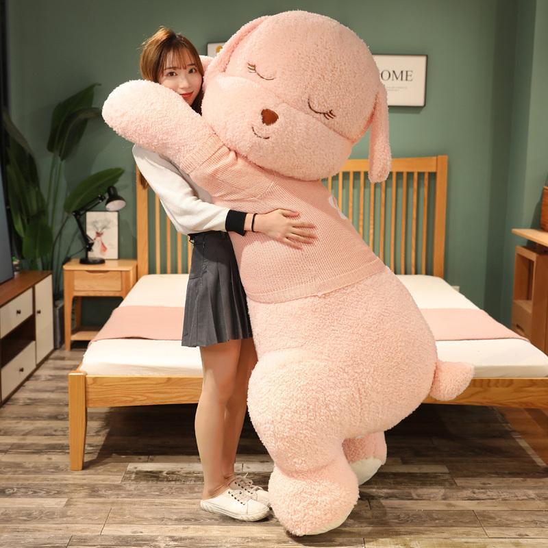 be-dog480-160cm