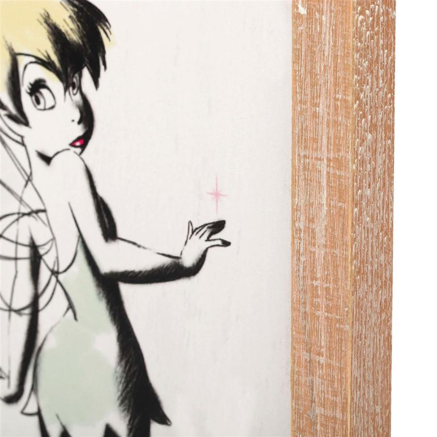 入手困難 Disney ピーターパン ティンカーベル ANIMATED 1953入手困難