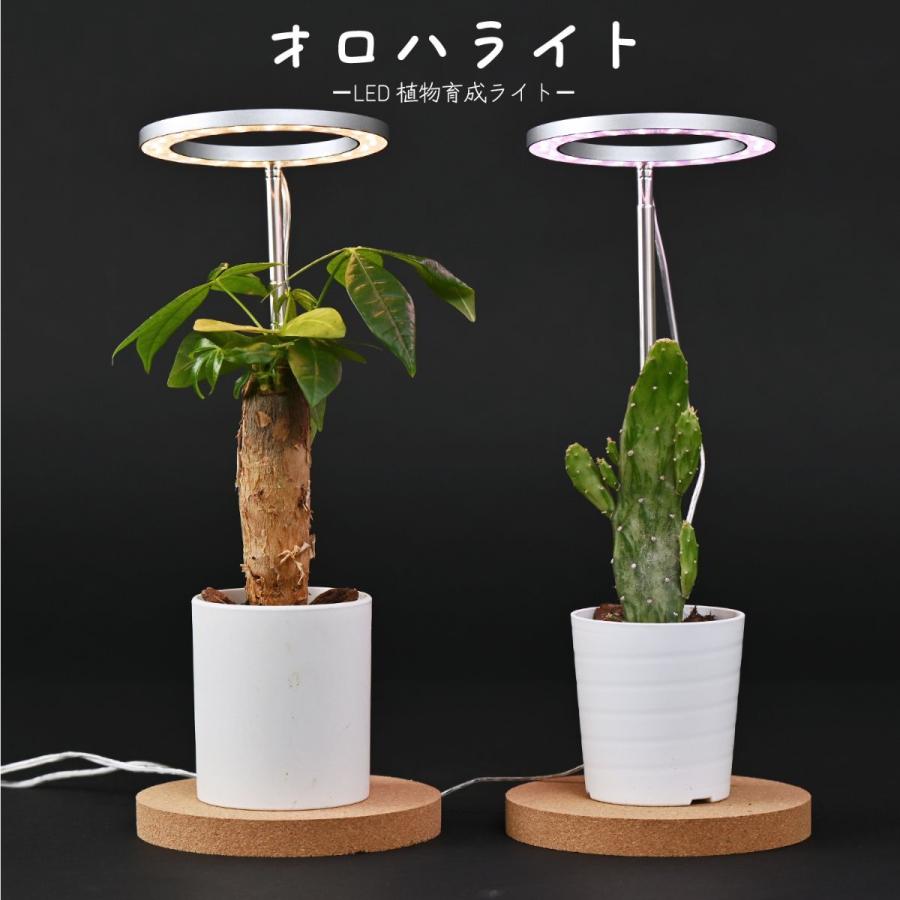 植物育成用LEDライト　「オロハライト」 〜oroha light〜　植物育成に適したLEDライト　コンパクトで、タイマー付き　２色のカラーでインテリアを演出 |  | 04