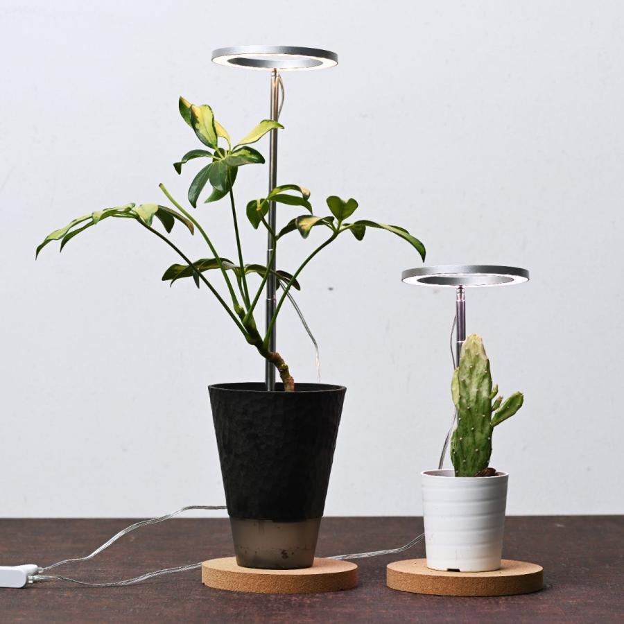 植物育成用LEDライト　「オロハライト」 〜oroha light〜　植物育成に適したLEDライト　コンパクトで、タイマー付き　２色のカラーでインテリアを演出 |  | 05