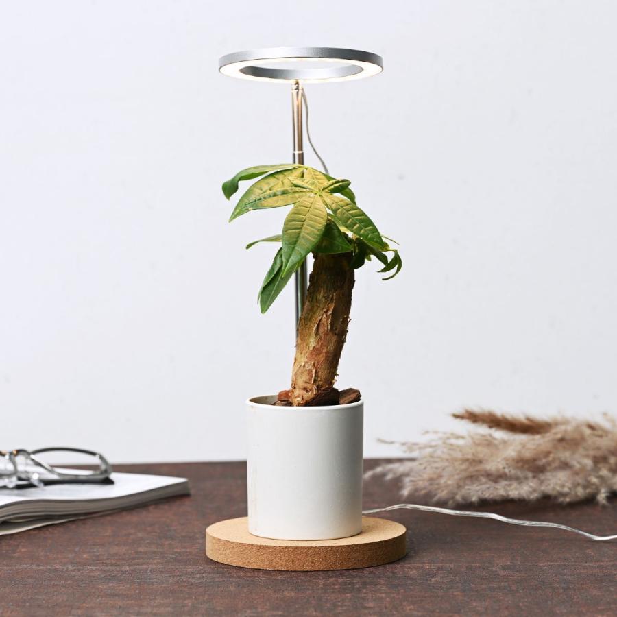 植物育成用LEDライト　「オロハライト」 〜oroha light〜　植物育成に適したLEDライト　コンパクトで、タイマー付き　２色のカラーでインテリアを演出 |  | 07
