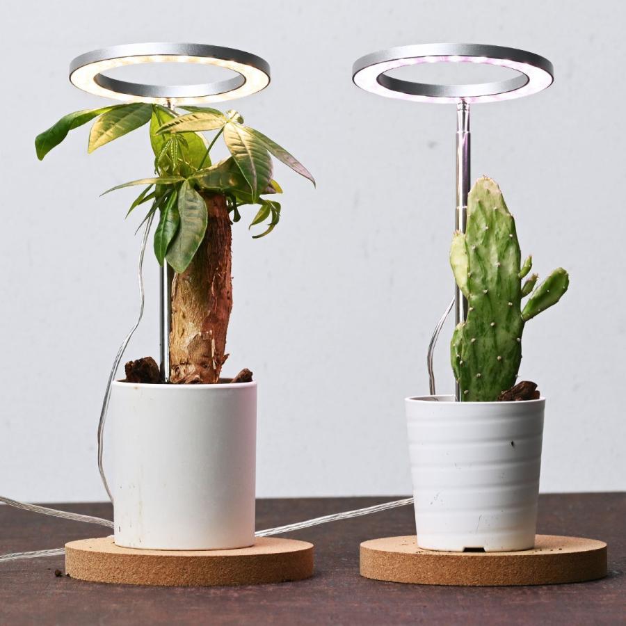 植物育成用LEDライト　「オロハライト」 〜oroha light〜　植物育成に適したLEDライト　コンパクトで、タイマー付き　２色のカラーでインテリアを演出 |  | 10