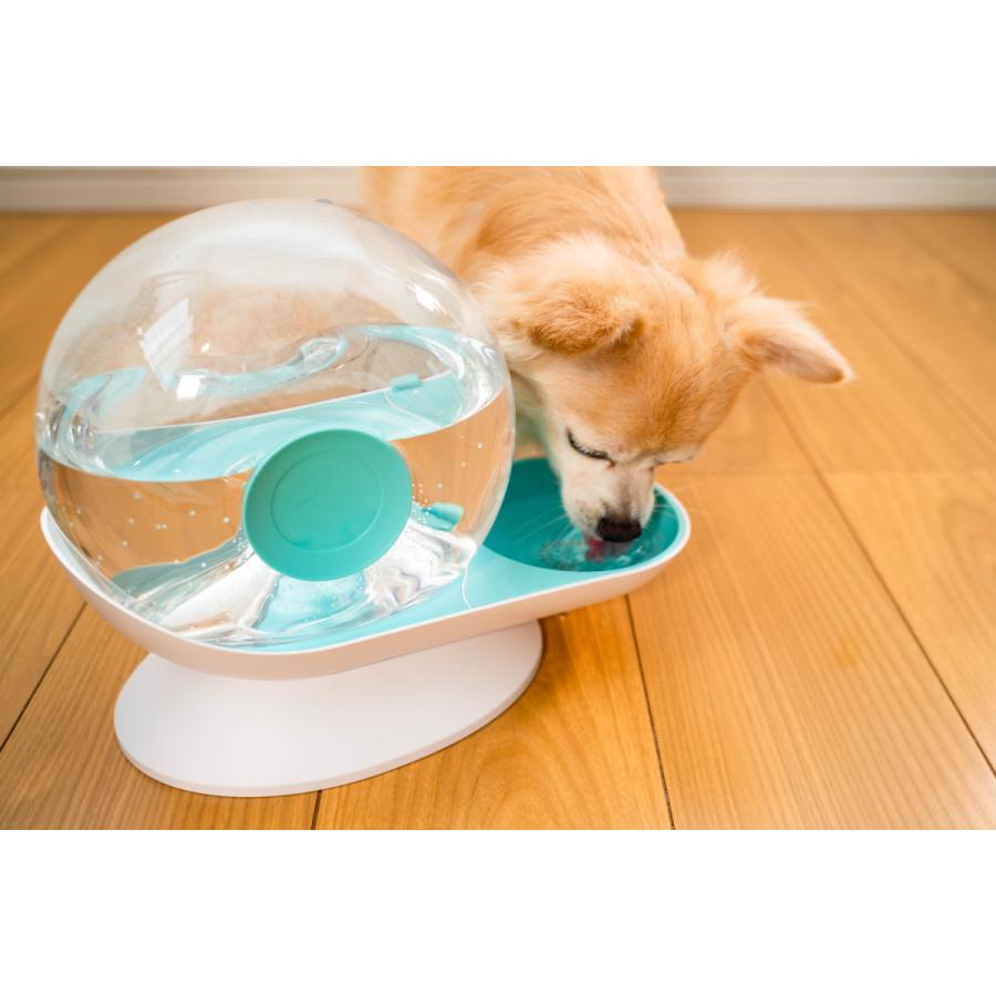 自動給水器 ペット用 スネイル ウォーター フィーダー 電源不要 犬用 猫用 カタツムリ型 2 8l 大容量 Snail Water Feeder 株式会社ベムパートナー 通販 Yahoo ショッピング
