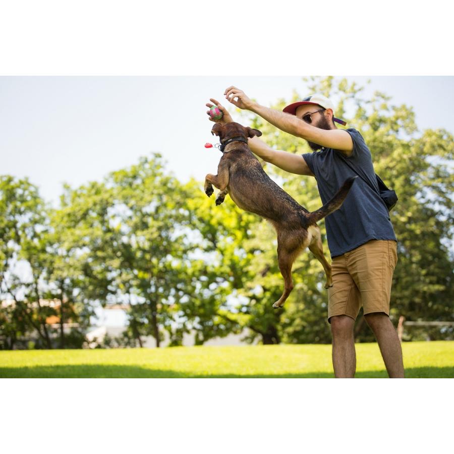 「チックレス」ペット用 ダニ対策 ノミ対策 薬を使わない 超音波 犬・猫 マダニ対策 (TICKLESS PET) バッテリータイプ |  | 09