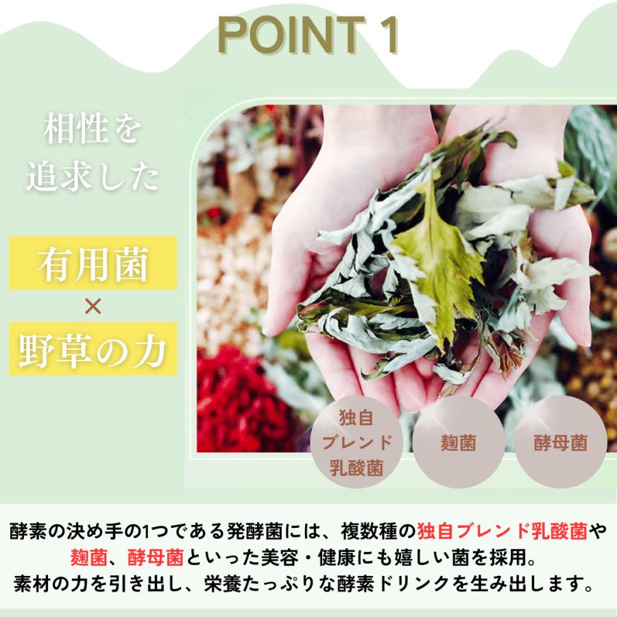 酵素ドリンク 越後酵素蓬緑ボトル 720ml 【送料無料】 : BEN-See 酵素ドリンク 越後酵素蓬緑ボトル 720ml 【送料無料】 : BEN-See