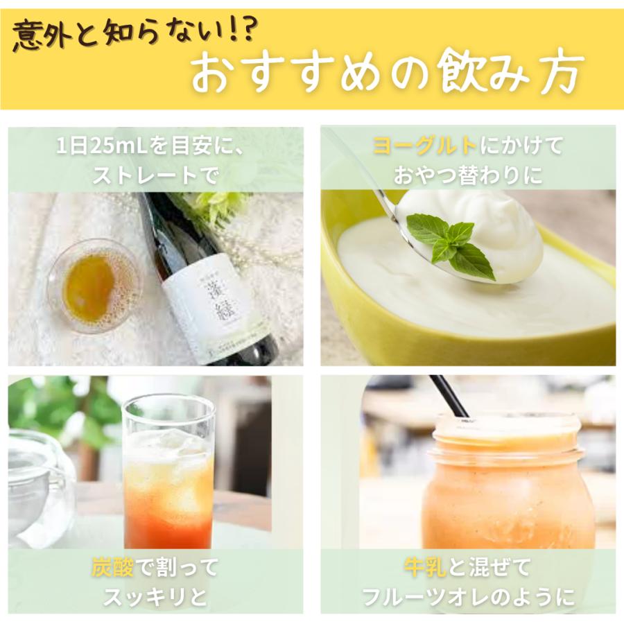 酵素ドリンク 越後酵素蓬緑ボトル 720ml 【送料無料】 : BEN-See 酵素ドリンク 越後酵素蓬緑ボトル 720ml 【送料無料】 : BEN-See