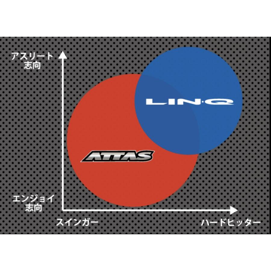 LIN-Q BLUE EX（7S）5W 3W 2本セット テーラーメイドスリーブ LIN-Q BLUE EX リンクブルー 7Sテーラーメイドスリーブ LIN-Q BLUE EX