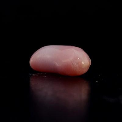 コンクパール 1.5ct 厳選ルース 限定１個 製品オーダー可能 誕生石 6月の画像