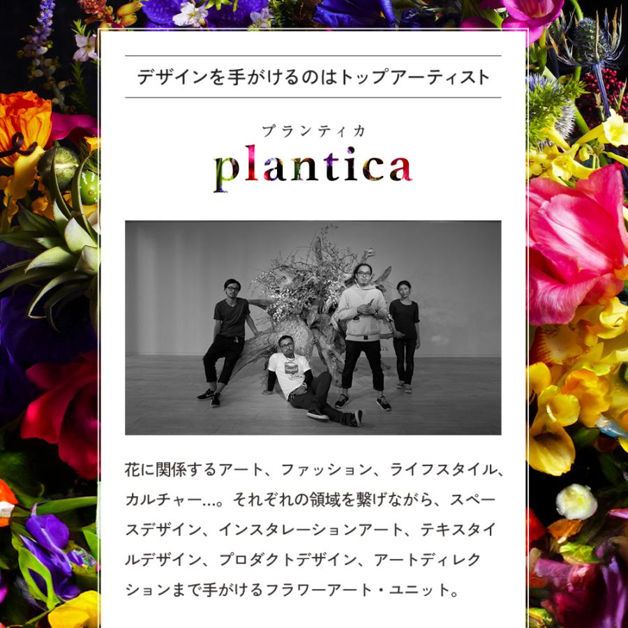 ナイトブラ ブラジャー 補整ブラ CelleBra セレブラ DR METHOD ドクターメソッド 医学発想 女医開発 花柄 バスト補整 流れ胸 離れ胸 垂れ胸 パワーメッシュ |  | 44