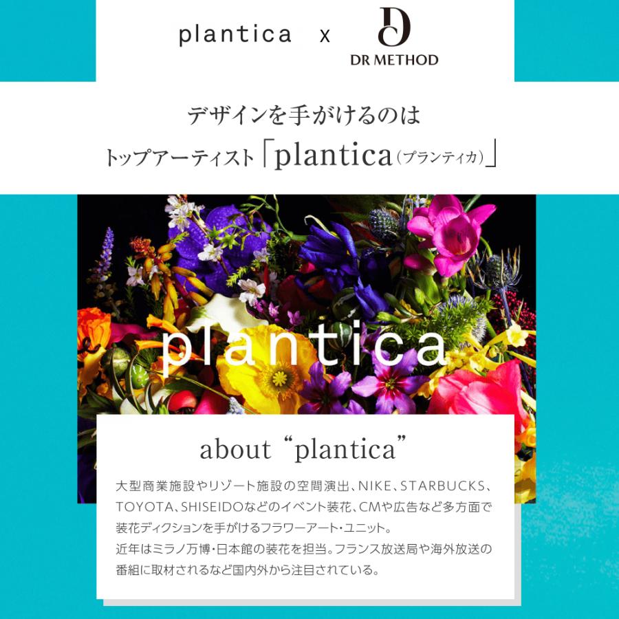 ノンワイヤーブラ ブラジャー Nongy ノンジー上下セット DR METHOD ドクターメソッド 公式 医学発想 女医開発 バストケア ノンワイヤー ストレスフリーの画像